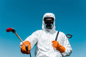 Best Mosquito Control  in Costa Mesa, CA